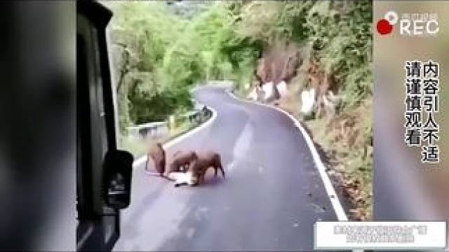 #关注我每天分享不同的故事