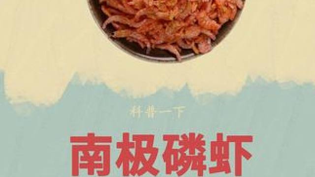 你见过这样捕虾的吗#南极磷虾 #虾皮 #虾肉