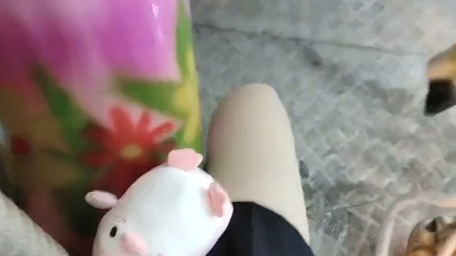 这世间的风太大，把温柔都吹走了