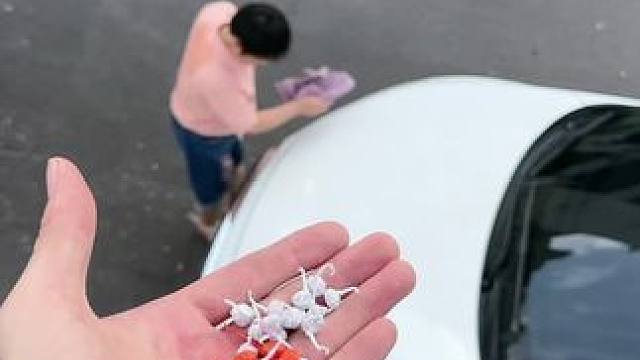 我发布了一个新视频，快来围观吧！