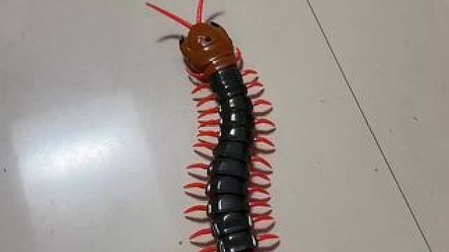 我发布了一个新视频，快来围观吧！