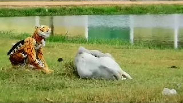 #关注我每天分享不同的故事