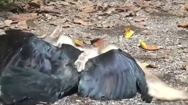 #关注我每天分享不同的故事