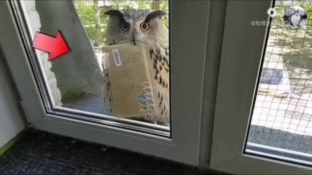 #关注我每天分享不同的故事