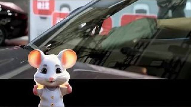 这个秋天最期待的活动之一，青岛国际车展，已经开始了！我和小伙伴们一起去了，展馆里面可真是车如流水啊！