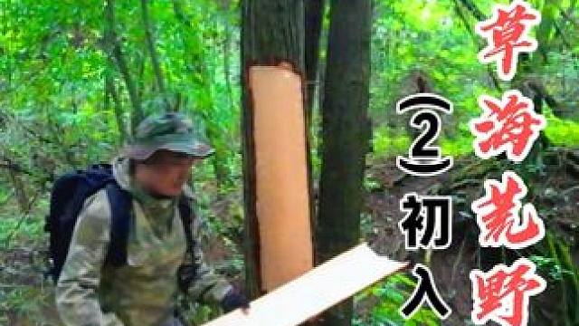 树皮滑橇采刺莓，摩擦取火庇护所 云中草原荒野求生 （2）第1天初入荒野