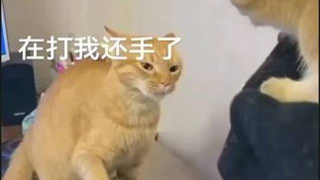 你怎么看，