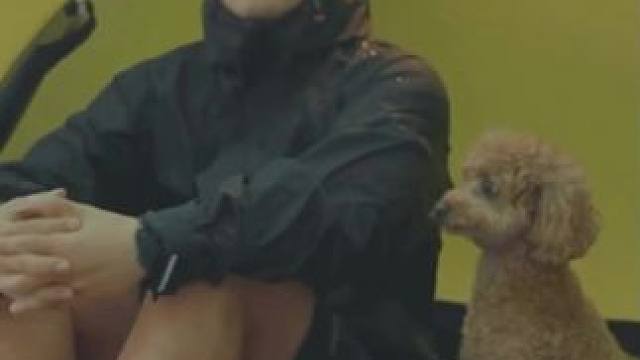 开路虎去雨中露营 #露营报告 #雨中露营报告