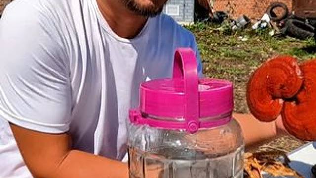 沙和尚用东北野生灵芝黄芪，还有50度小烧，泡了一罐养生大补酒#户外美食 #乡村味道 #农家饭 