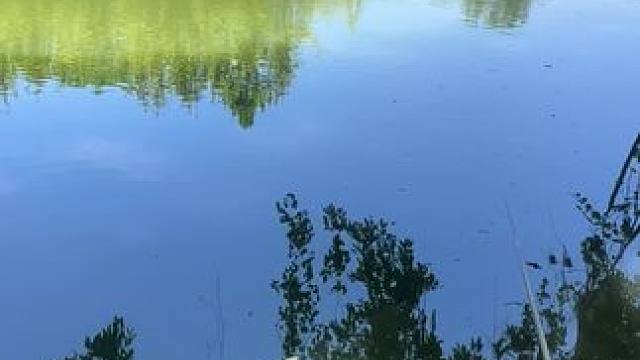 #自由自在简简单单