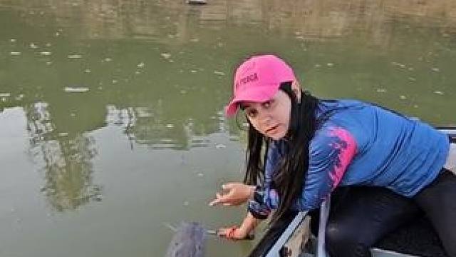 虎纹鸭嘴鲶 #国外视频分享 #好大一条鱼 #钓鱼的乐趣只有钓鱼人懂