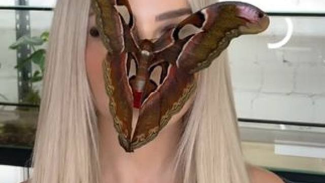 #国外视频分享 #昆虫 #宠物