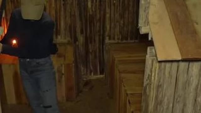 建造热带雨林庇护所 #荒野建造 #野外建造 #庇护所