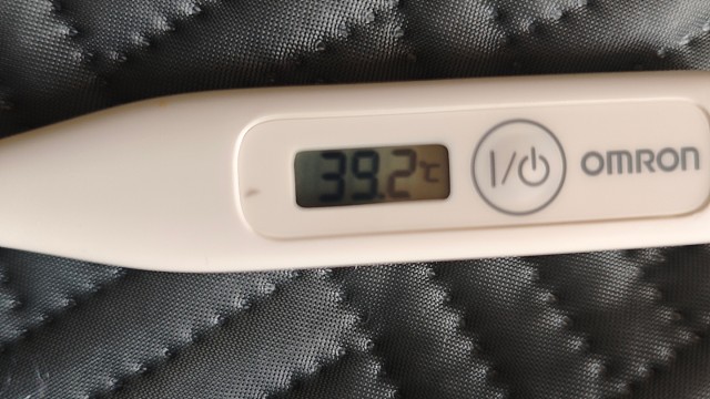 兄弟们已经确定阳了，今天休息一天，调养下，