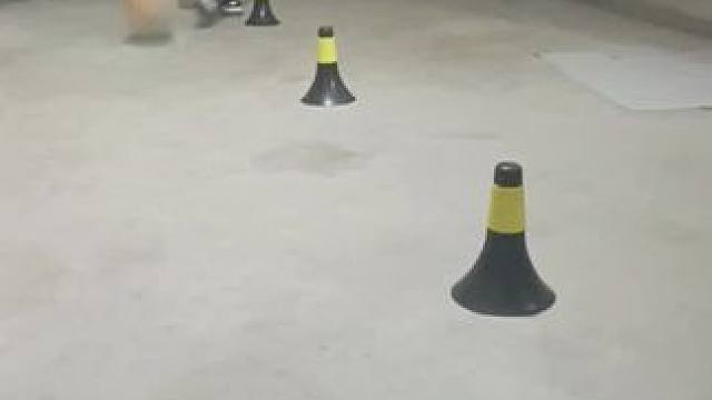 天呐你敢相信么？在上海给孩子上一堂这样的上门篮球课只需50#篮球 #中考体育 #少儿体