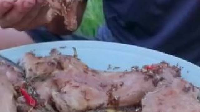 水煮竹鼠 #我的乡村生活 #原始美味 #农村美食 #农村生活