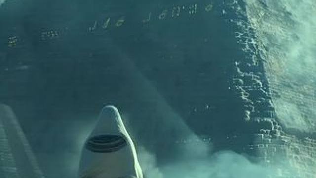 如果真的有一天外星人入侵地球你要做的第一件事是什么？