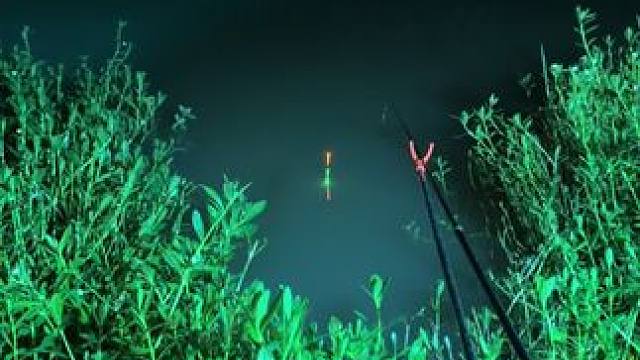 钓鱼的乐趣只有钓鱼人懂~