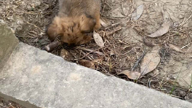 我发布了一个新视频，快来围观吧！