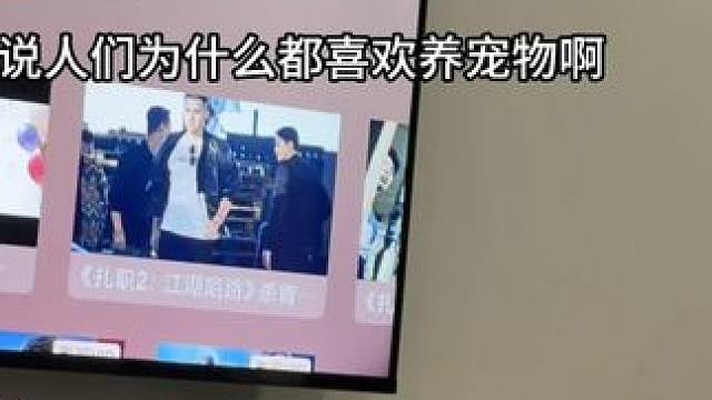 养小猫6年了 它真的很治愈#我和我的猫 #总有些生命为治愈你而来 #治愈系