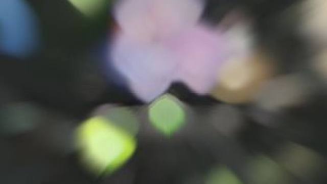 “与妮娜芙联动的这一箭有没有击中你的心” #命运方舟 #命运方舟一周年 #寻找命运方舟最有才的你 #