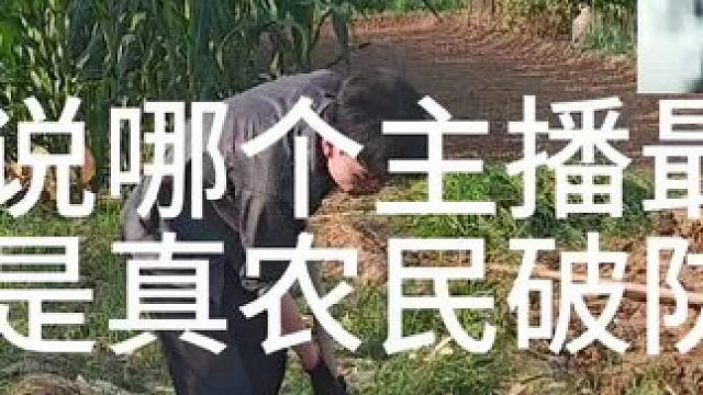 已老实，求放过 