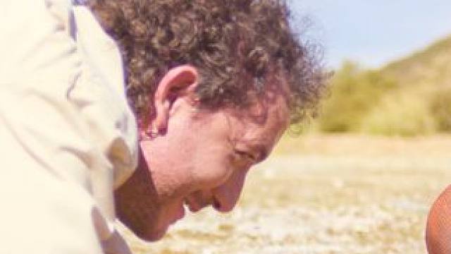 两人发现一只巨大的苍蝇，尝试训练它进行特殊任务 #电影解说