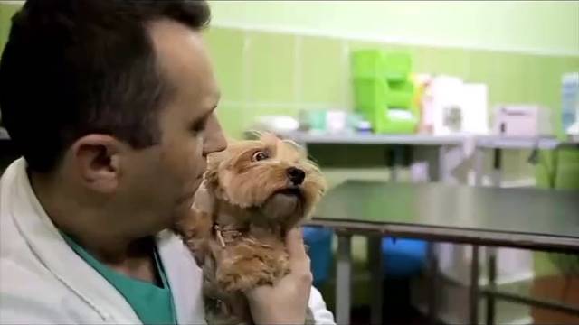 如何让狗狗不再护食？实用技巧大揭秘