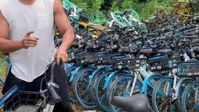 体验了一天的共享单车运维，赚了300块