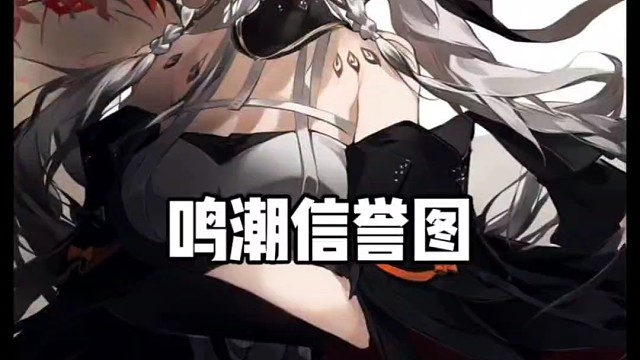 鸣潮信誉图！