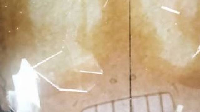 《拙劣的站姿模仿》 #火影忍者手游