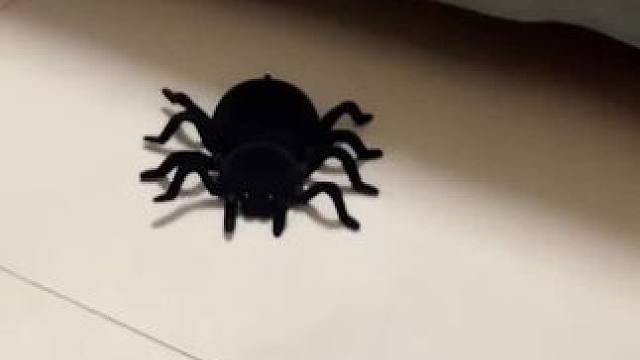 我发布了一个新视频，快来围观吧！