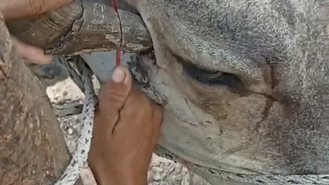 角被拿下来的那一刻我忽然感觉自己太阳穴瞬间就舒服了许多