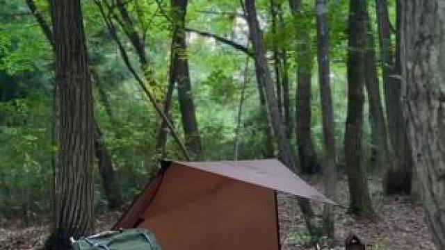 林中露营 #露营报告