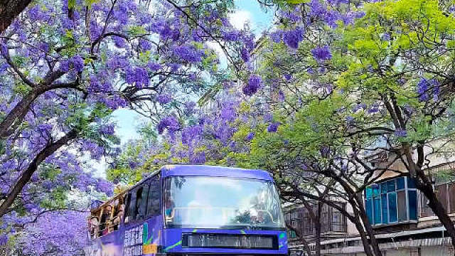 国乒女团还是让人骄傲的，超常发挥太好了，姑娘们加油加油