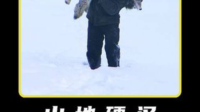 老猎人收徒#纪录片 #野外生存 #户外 #我的观影报告