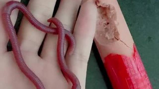 我发布了一个新视频，快来围观吧！