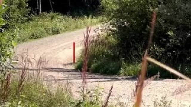 当我紧握方向盘的时候，你已经输了#赛车 #极限运动 #玩的就是心跳