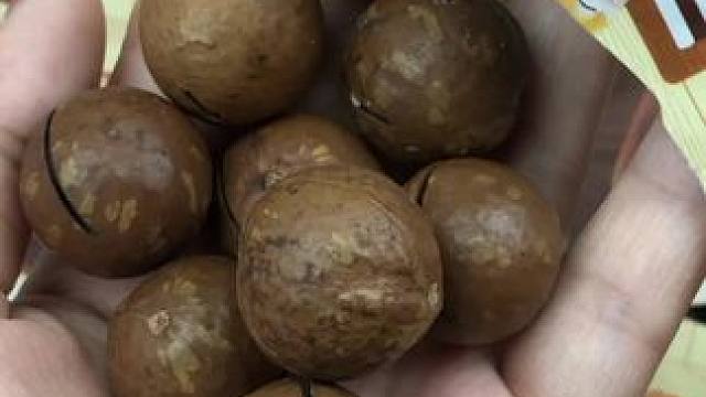 三只松鼠夏威夷果，颗粒饱满，奶香十足，10包到手才这个价，你确定不薅上一把？#三只松鼠 #夏威夷果 