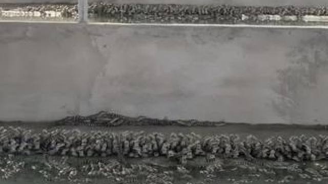 明天早上起来，鱼依然是那么完美