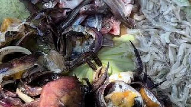 矮子来了:户外野炊 #我的乡村生活 #原始美味 #东南亚八面佛 #农村生活