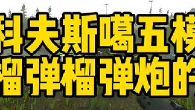 #逃离塔科夫  六管溜达炮的遗失！