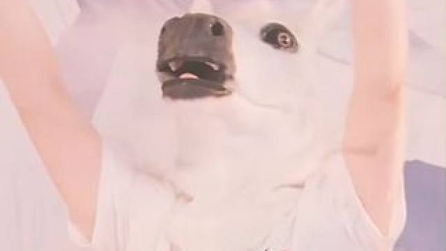 【806直播花絮】 马头康复训练启动#妄想山海 #满脑子都是EMERGENCY #魔性EMERGEN