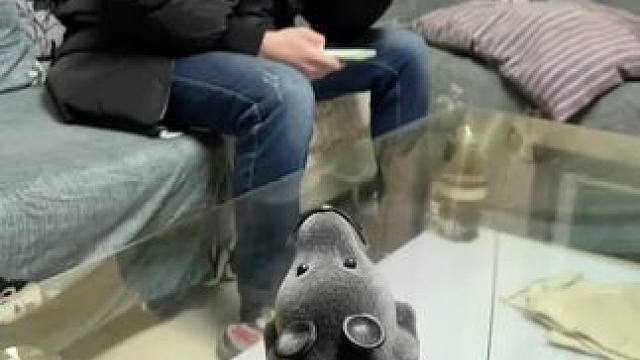 我发布了一个新视频，快来围观吧！