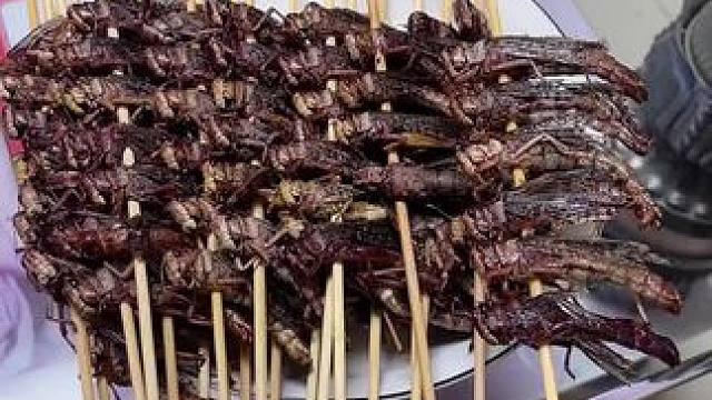 我发布了一个新视频，快来围观吧！