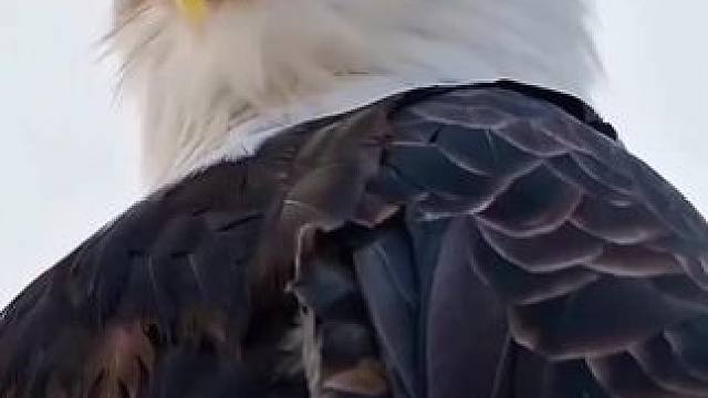 娱乐娱乐一下#你学会了吗