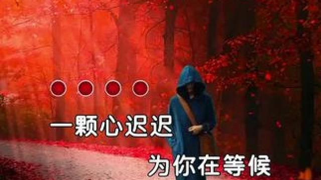 歌曲《七夕情歌》