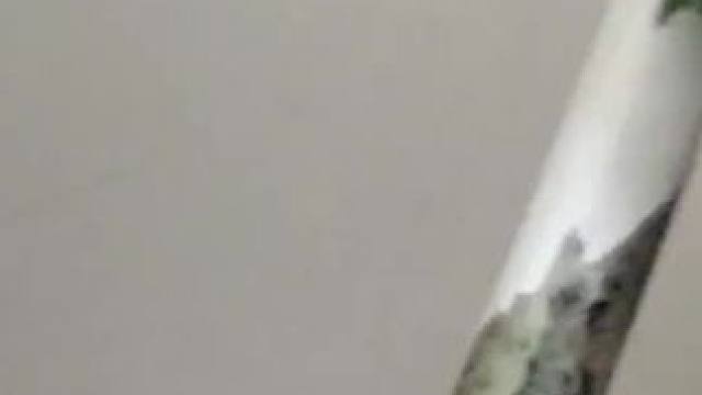 我发布了一个新视频，快来围观吧！