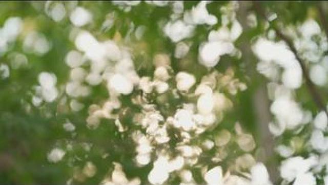 想过的不是七夕，而是和你在一起的每一天，期待下明天满月活动吧~#声动七夕 #鹊梦七夕