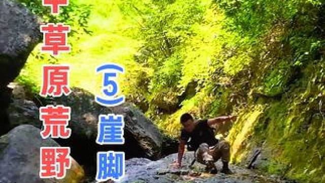 沿峡谷虎杖饮料解暑，穿丛林崖脚露营 云中草原荒野求生（5）崖脚露营#野外生存 #户外露营 #荒野求生